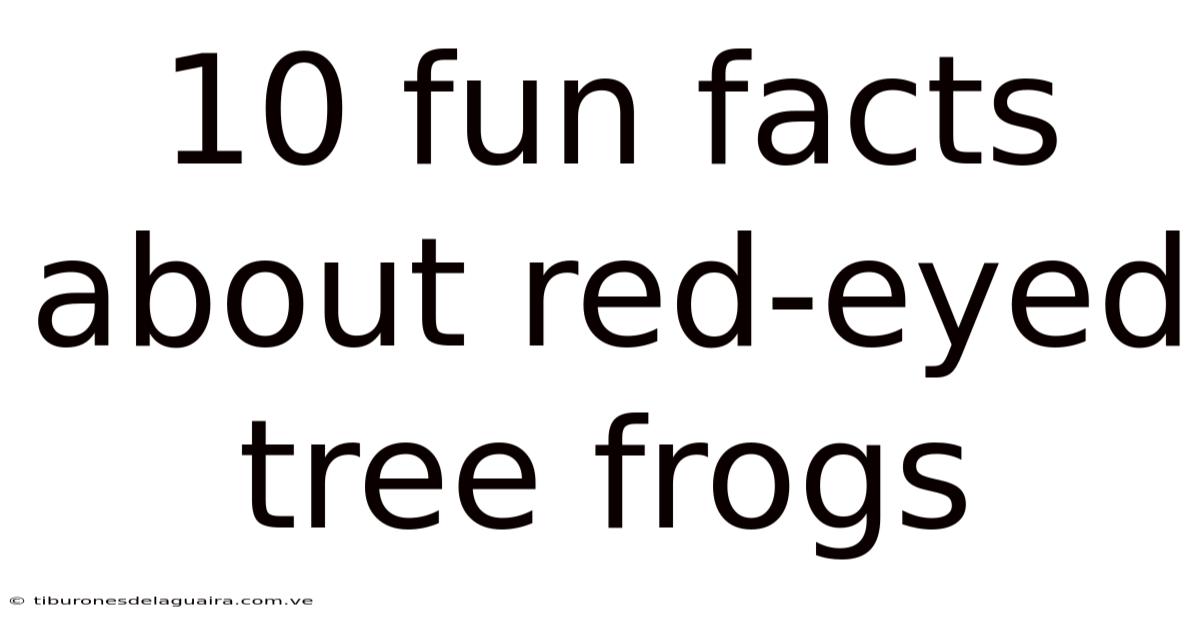 10 Fun Facts About Red-eyed Tree Frogs