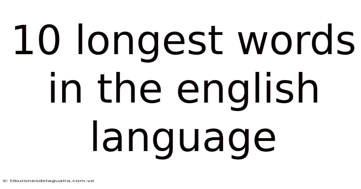 10 Longest Words In The English Language