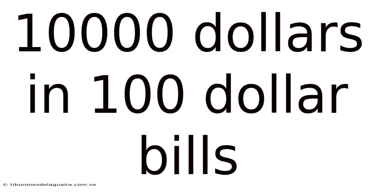 10000 Dollars In 100 Dollar Bills