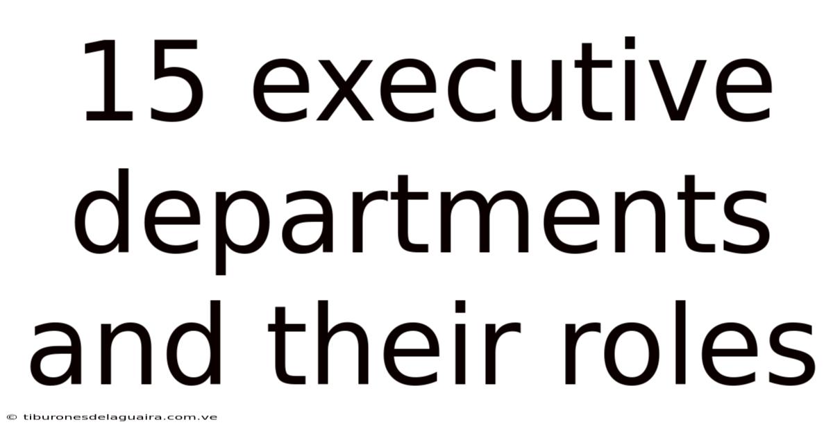 15 Executive Departments And Their Roles