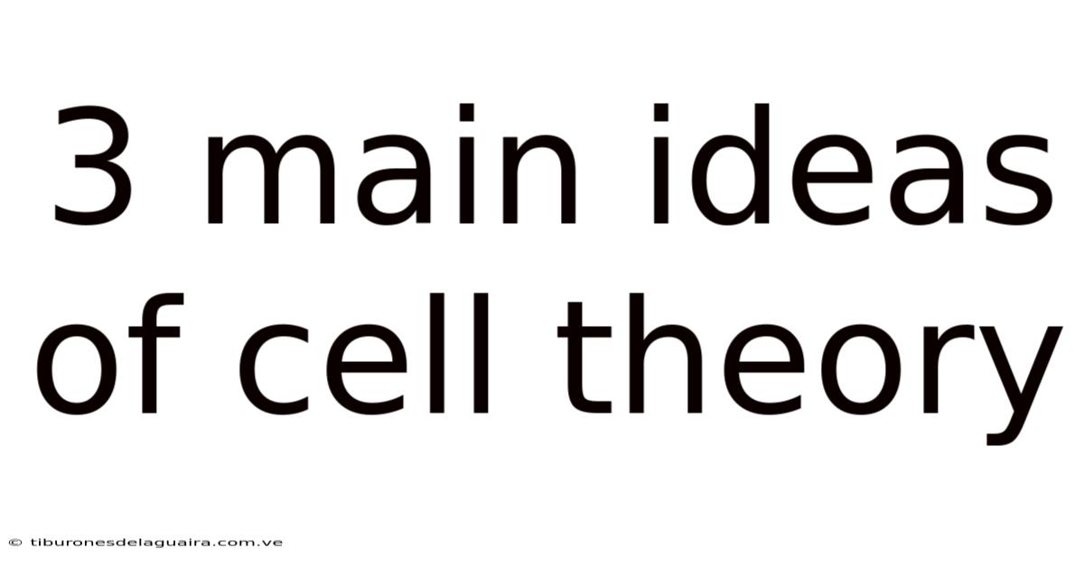 3 Main Ideas Of Cell Theory