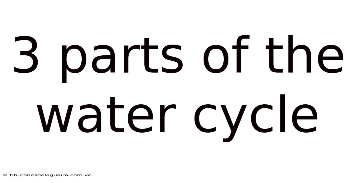 3 Parts Of The Water Cycle