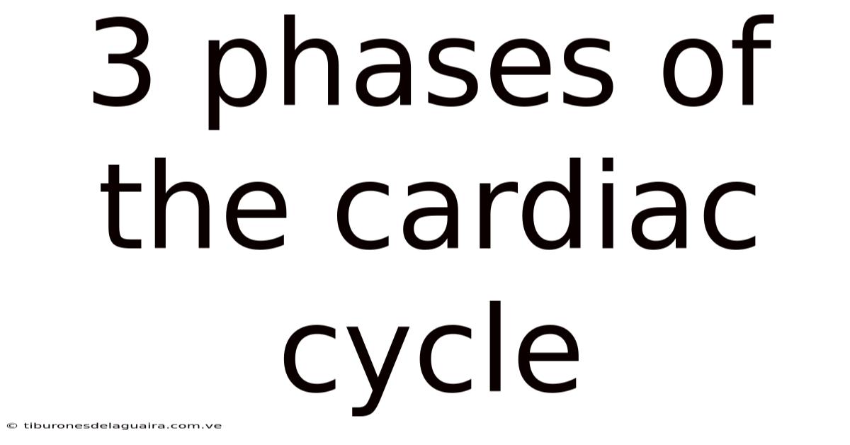 3 Phases Of The Cardiac Cycle