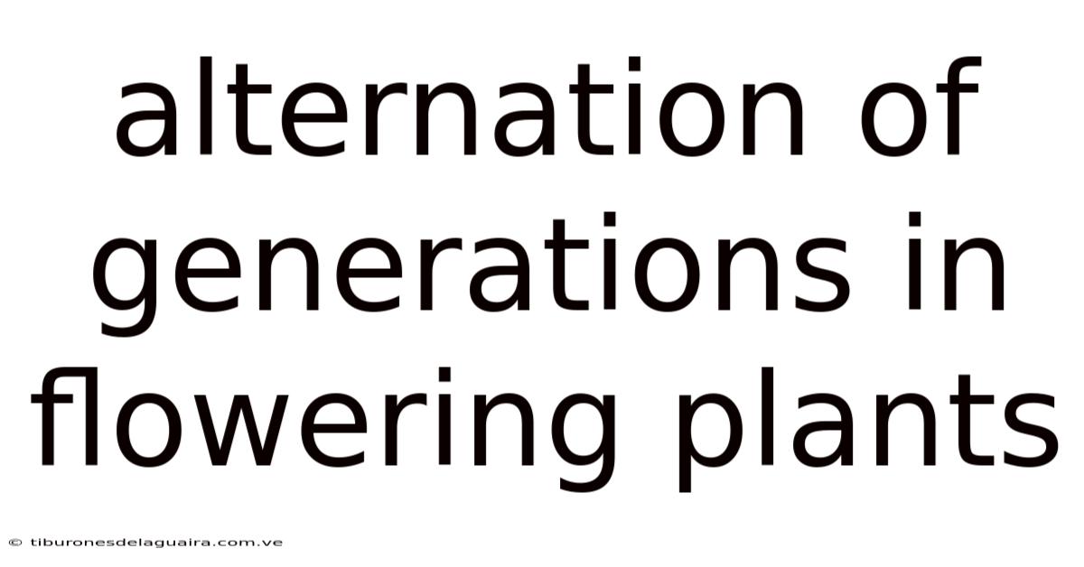 Alternation Of Generations In Flowering Plants