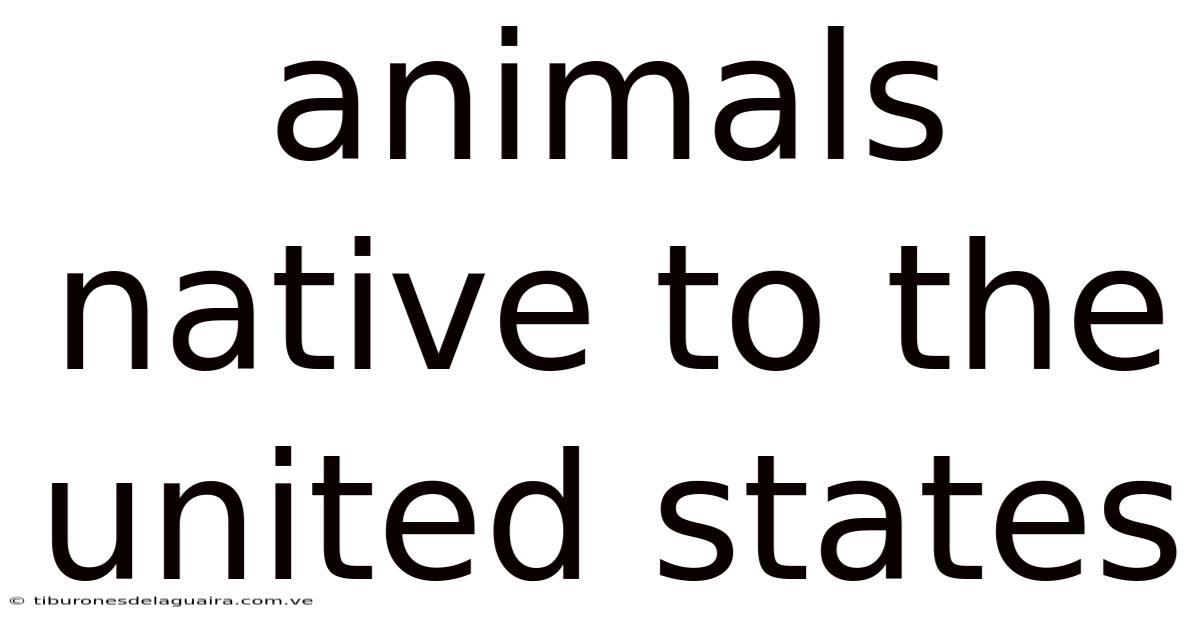 Animals Native To The United States
