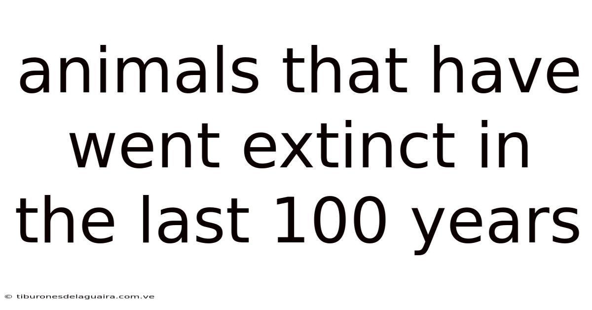 Animals That Have Went Extinct In The Last 100 Years
