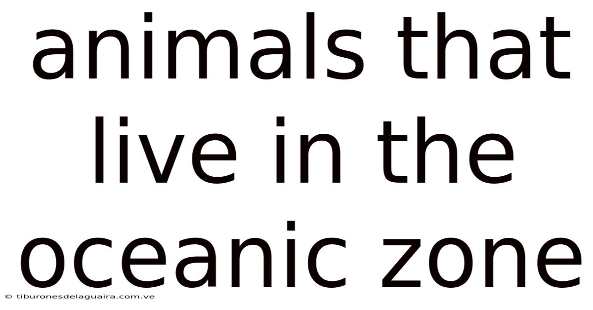 Animals That Live In The Oceanic Zone