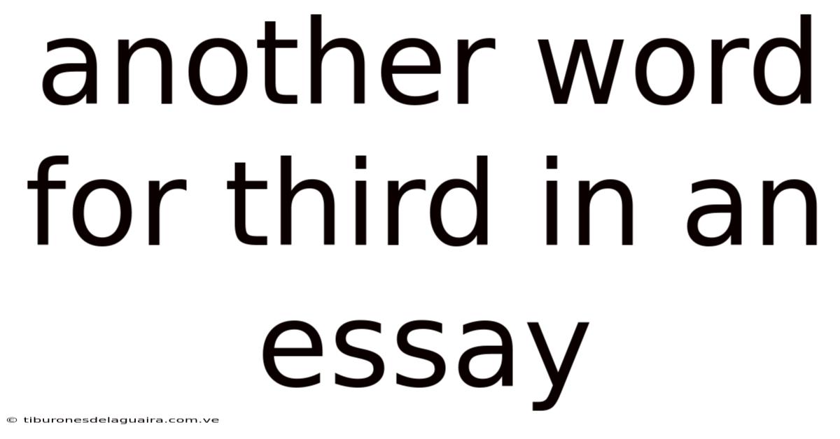 Another Word For Third In An Essay