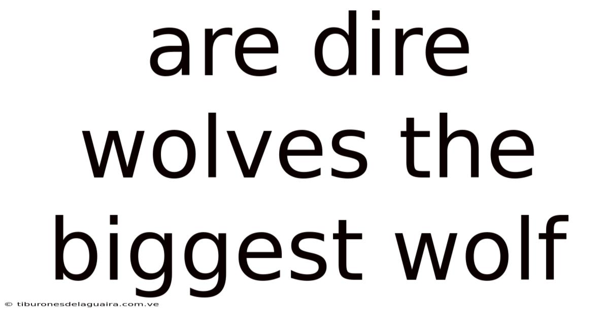 Are Dire Wolves The Biggest Wolf