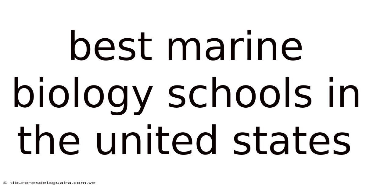 Best Marine Biology Schools In The United States