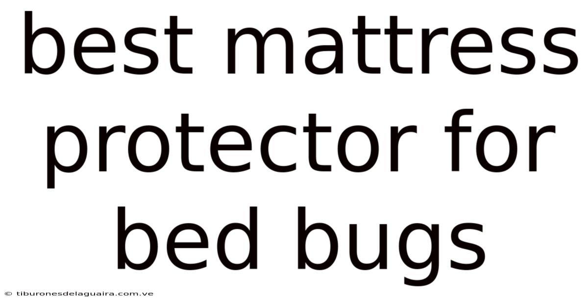 Best Mattress Protector For Bed Bugs