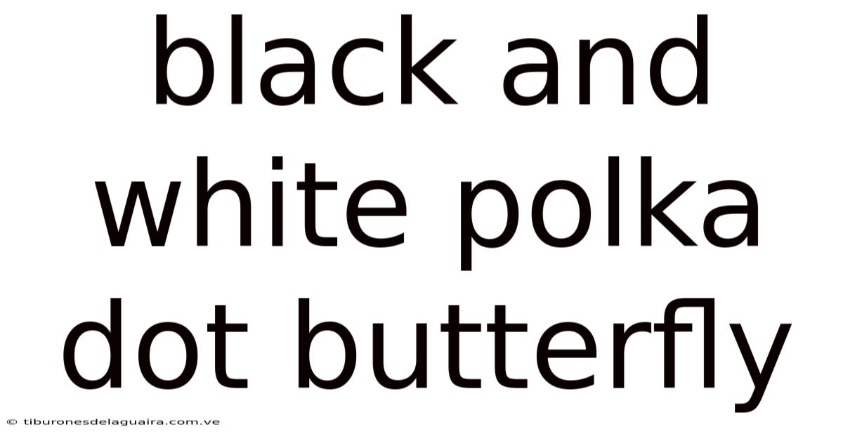 Black And White Polka Dot Butterfly