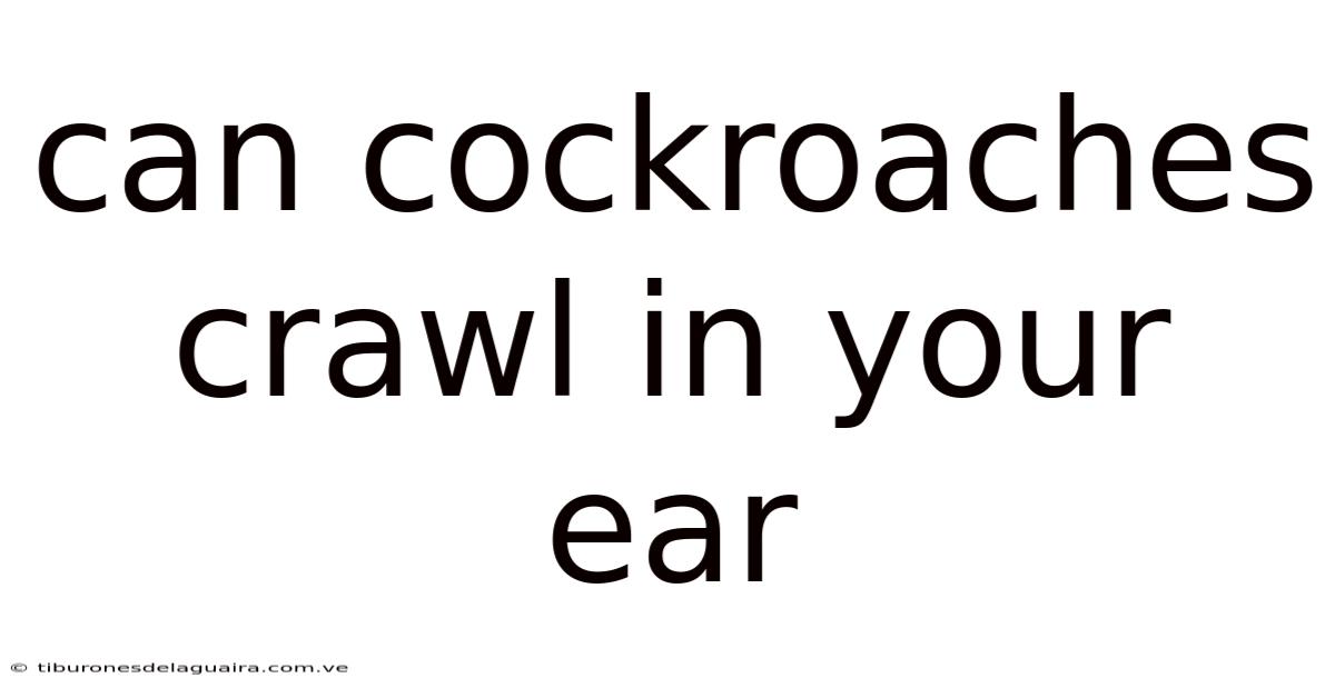 Can Cockroaches Crawl In Your Ear