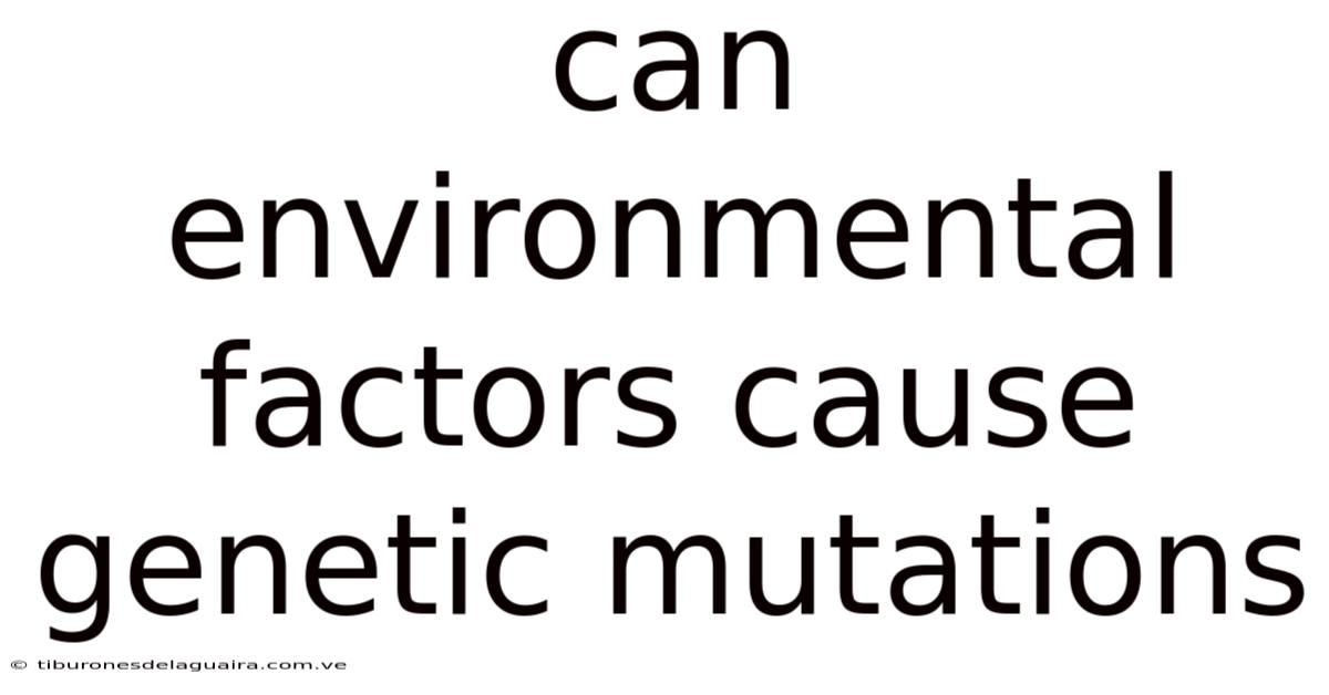 Can Environmental Factors Cause Genetic Mutations