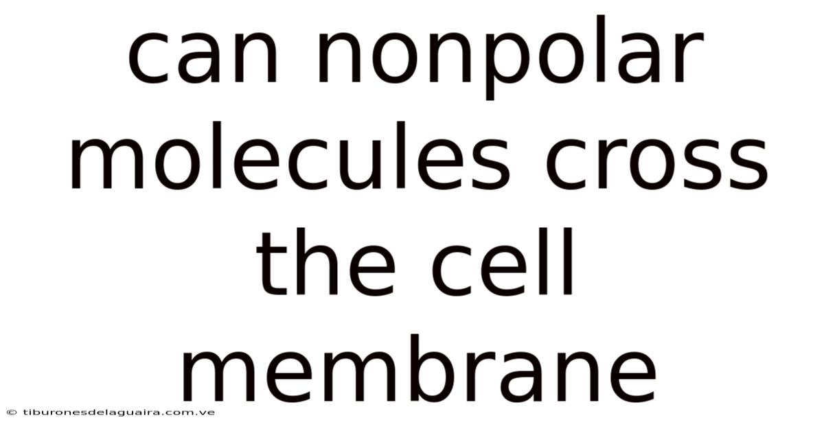 Can Nonpolar Molecules Cross The Cell Membrane
