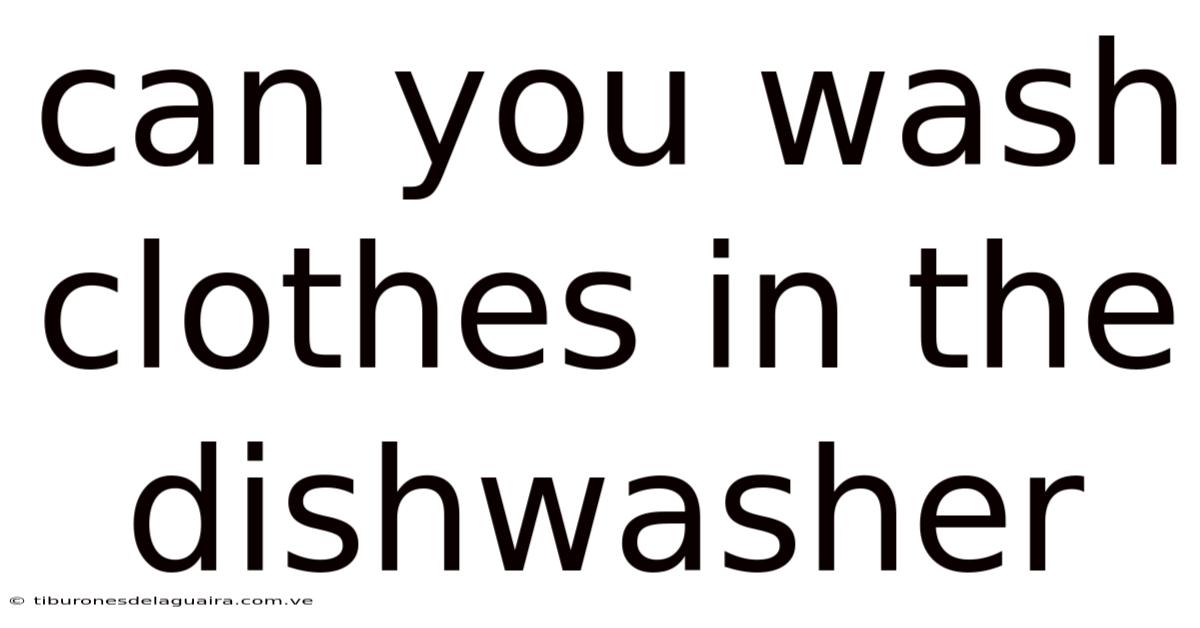 Can You Wash Clothes In The Dishwasher