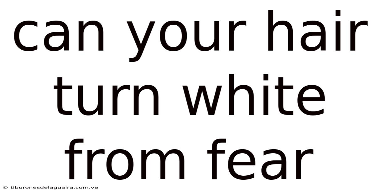 Can Your Hair Turn White From Fear
