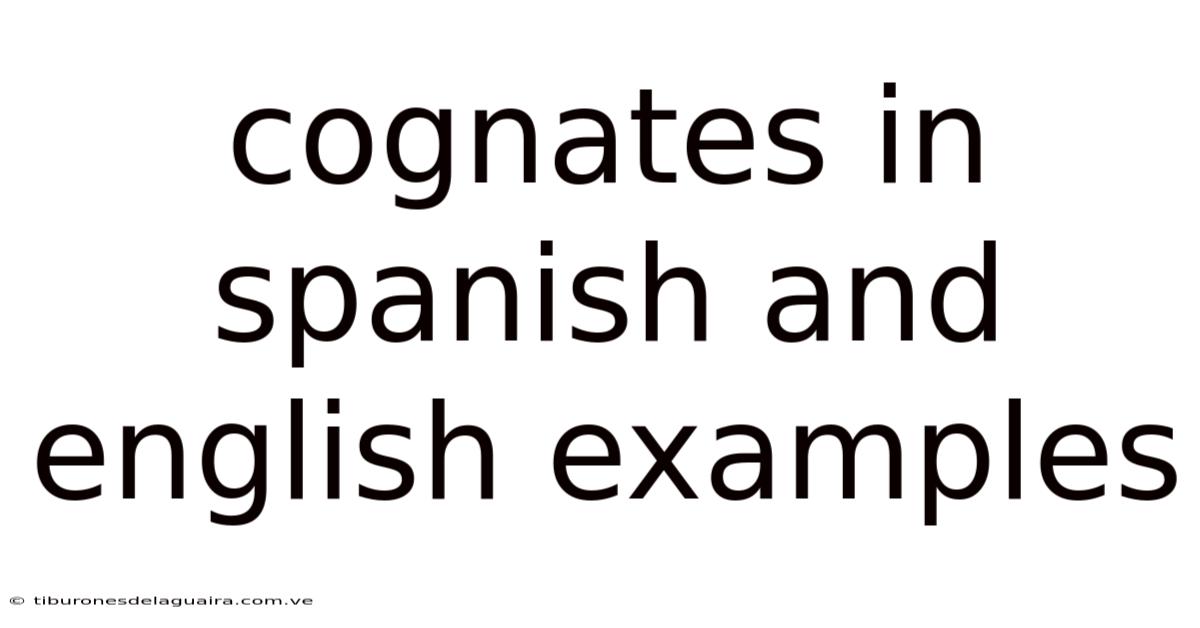 Cognates In Spanish And English Examples