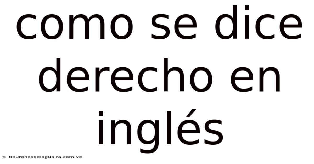 Como Se Dice Derecho En Inglés