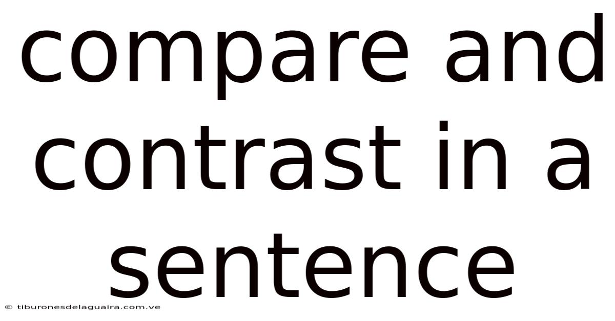 Compare And Contrast In A Sentence