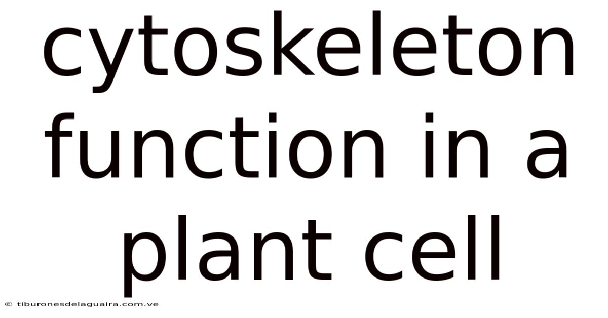 Cytoskeleton Function In A Plant Cell