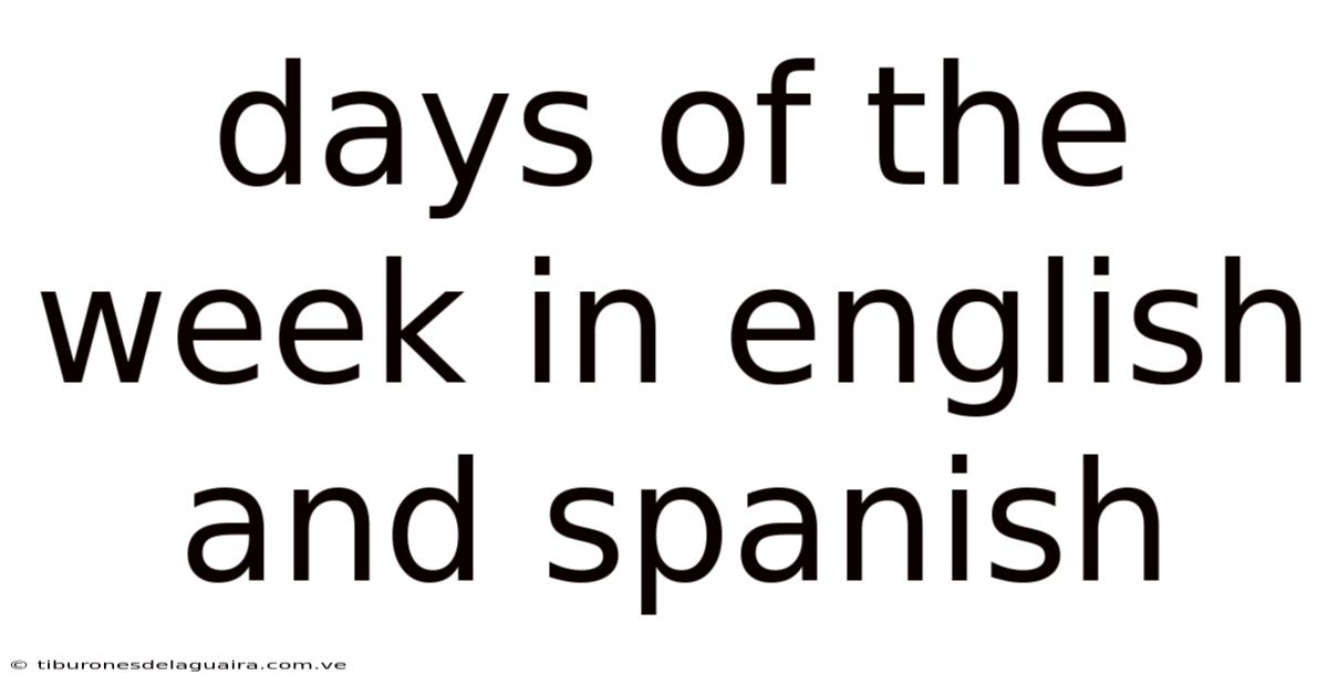 Days Of The Week In English And Spanish