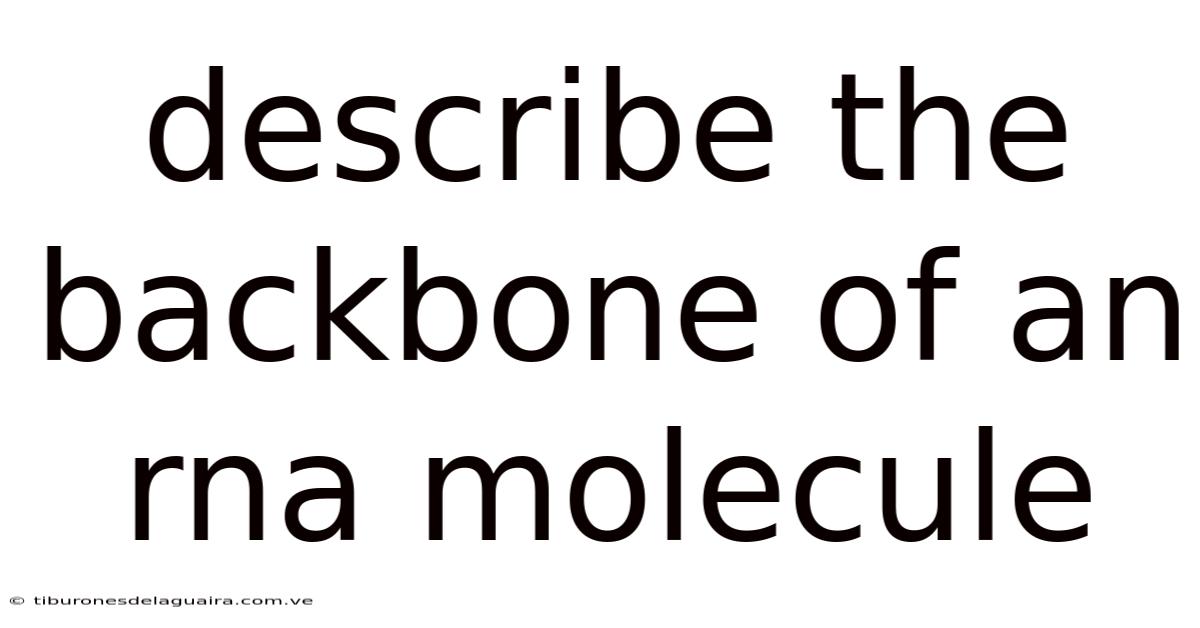 Describe The Backbone Of An Rna Molecule