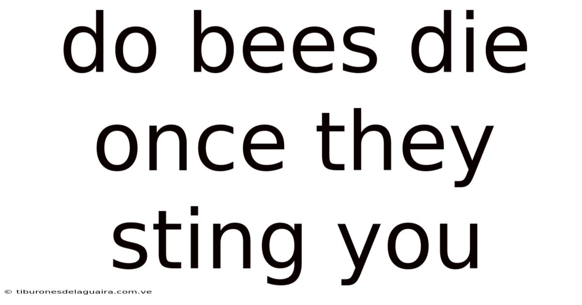 Do Bees Die Once They Sting You
