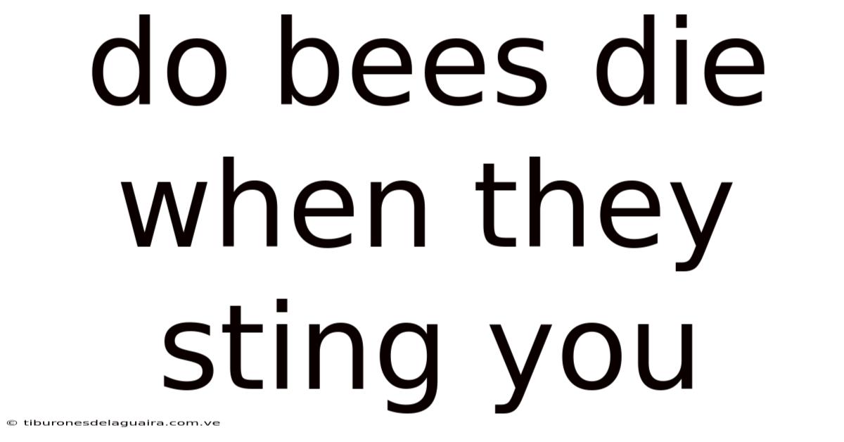 Do Bees Die When They Sting You