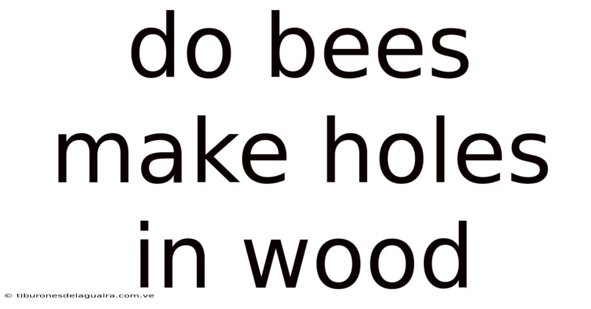 Do Bees Make Holes In Wood