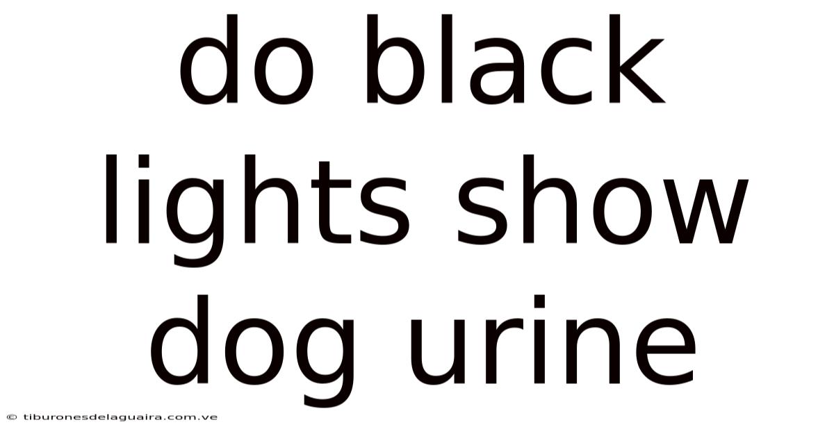 Do Black Lights Show Dog Urine