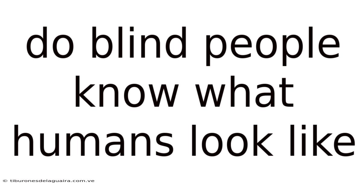 Do Blind People Know What Humans Look Like