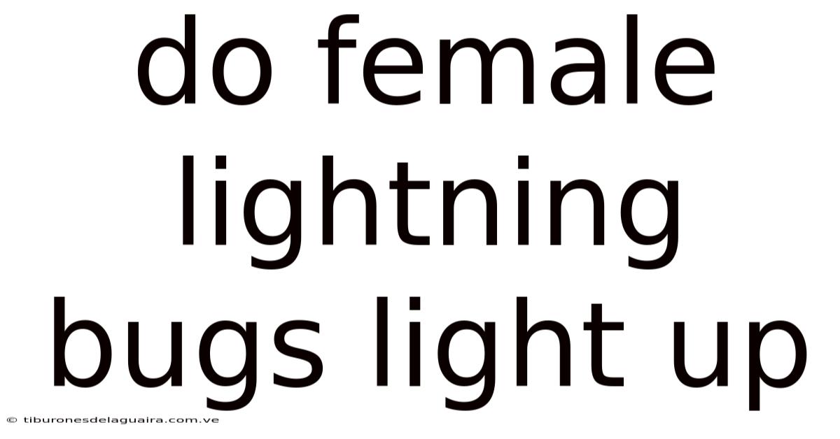 Do Female Lightning Bugs Light Up