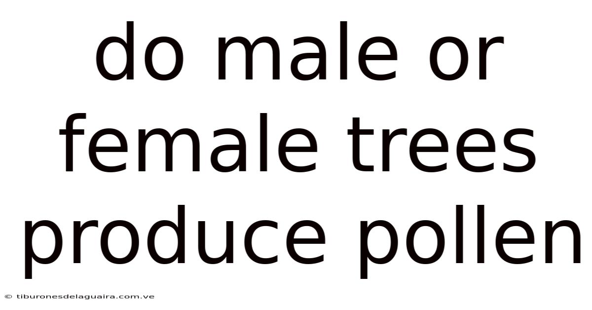 Do Male Or Female Trees Produce Pollen