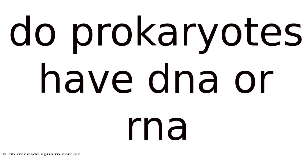 Do Prokaryotes Have Dna Or Rna