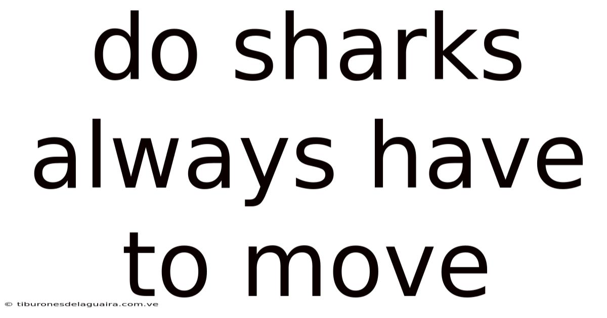 Do Sharks Always Have To Move