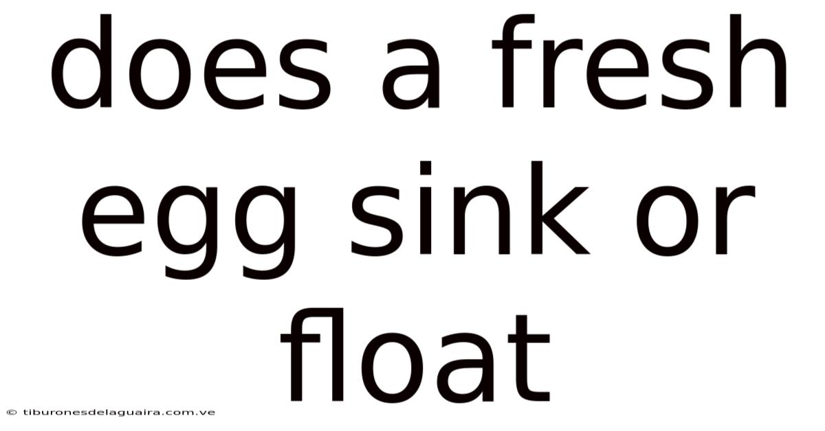Does A Fresh Egg Sink Or Float
