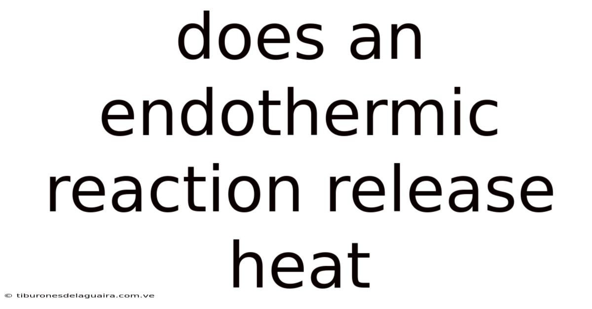 Does An Endothermic Reaction Release Heat