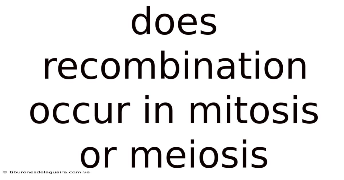 Does Recombination Occur In Mitosis Or Meiosis
