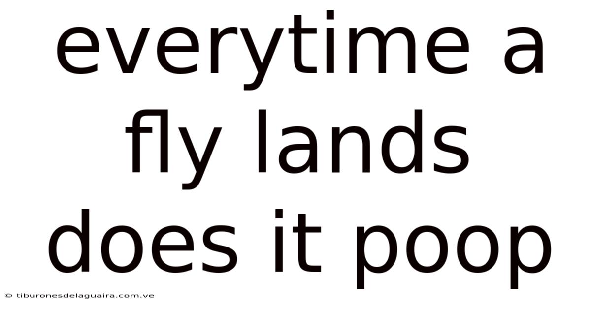 Everytime A Fly Lands Does It Poop