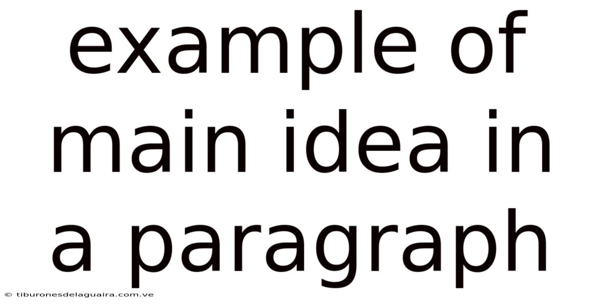 Example Of Main Idea In A Paragraph