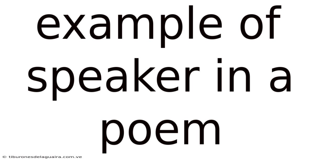 Example Of Speaker In A Poem