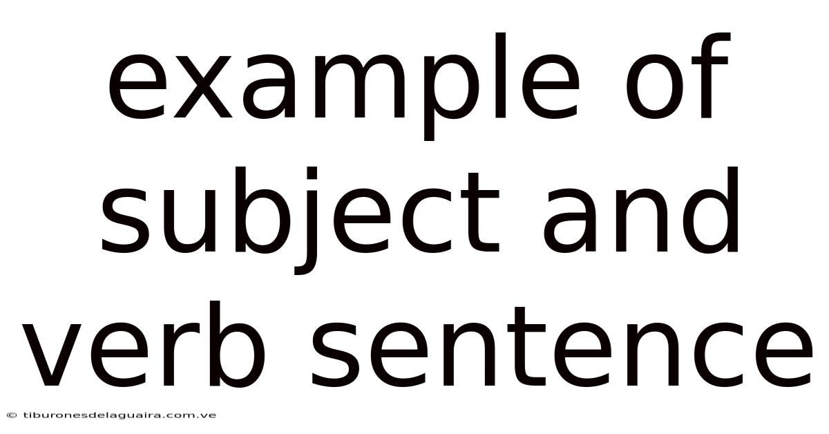Example Of Subject And Verb Sentence