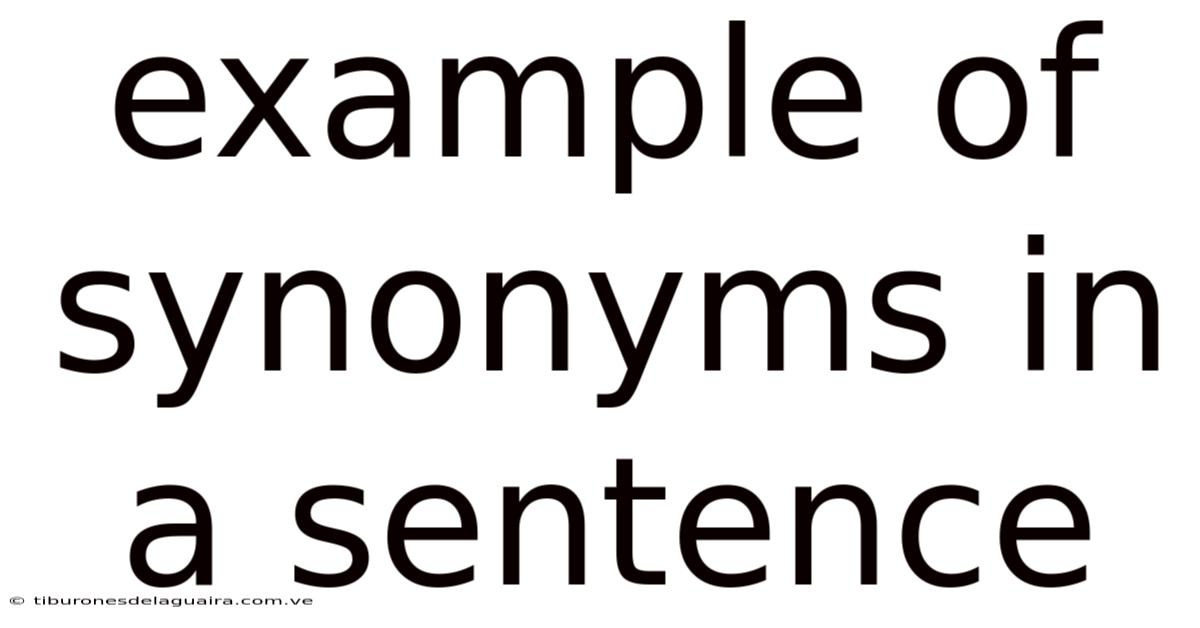 Example Of Synonyms In A Sentence