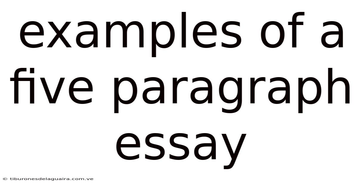 Examples Of A Five Paragraph Essay