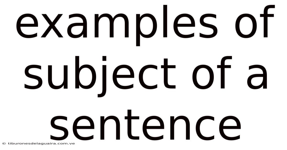 Examples Of Subject Of A Sentence