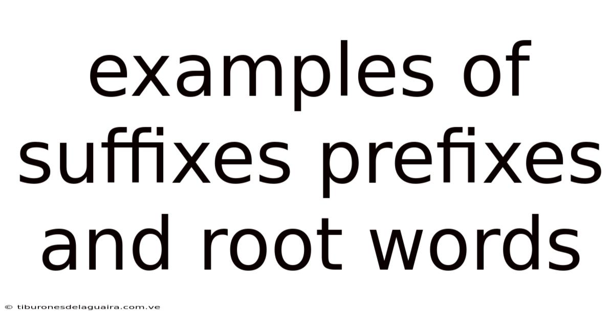 Examples Of Suffixes Prefixes And Root Words