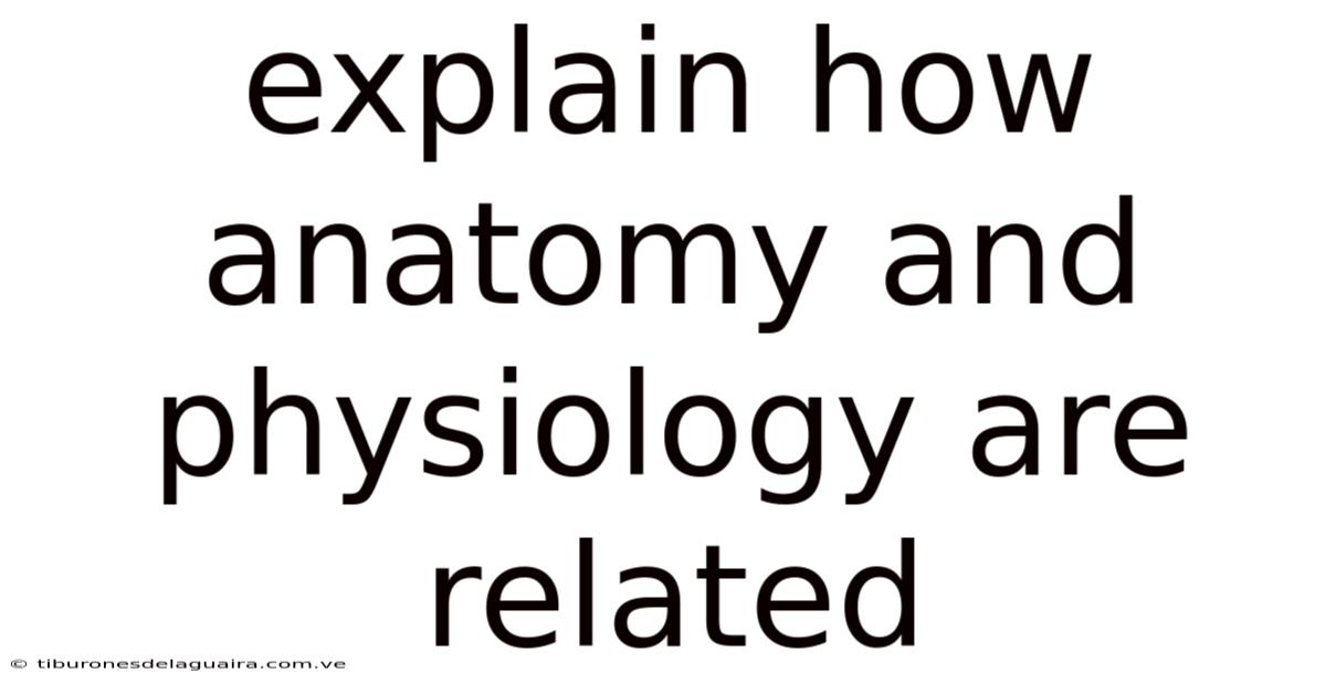 Explain How Anatomy And Physiology Are Related