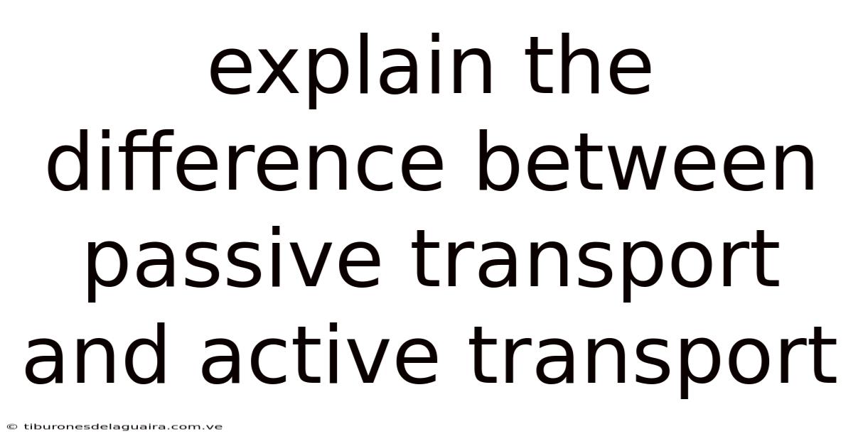 Explain The Difference Between Passive Transport And Active Transport