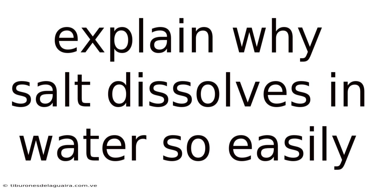 Explain Why Salt Dissolves In Water So Easily